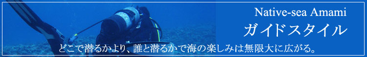 �l�C�e�B�u�V�[�����K�C�h�X�^�C��