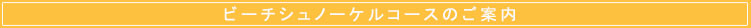 �r�[�`�X�m�[�P��