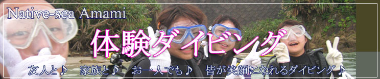�����哇�̑̌��_�C�r���O