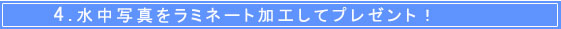�����ʐ^�v���[���g