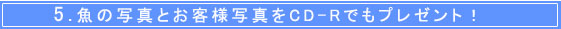���̎ʐ^��CD-R�Ńv���[���g