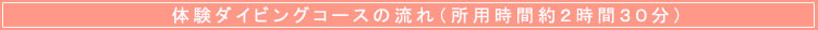 �̌��_�C�r���O�̗���