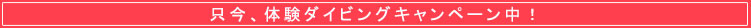 �̌��_�C�r���O�L�����y�[�����I