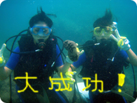 �_�C�r���O�͊y�������听���I