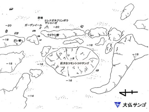 大仏サンゴ地図