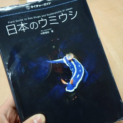 インド太平洋のウミウシ　ガイドブック　Nudibranchs　洋書 インド太平洋のウミウシ ガイドブック Nudibranchs 洋書 洋書