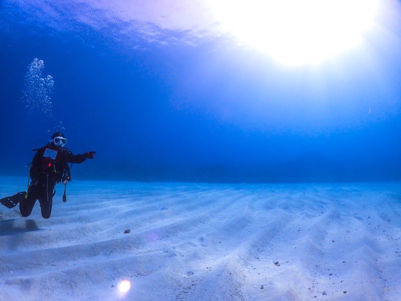 Insta３６０カメラで絶景サンゴの群生をのんびりと撮影♪