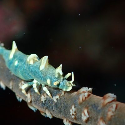 \ 目に優しい大きさ♪ /