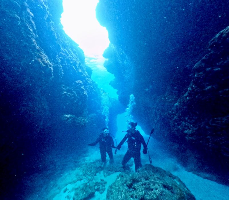 ◤初めての水中散歩♪◢