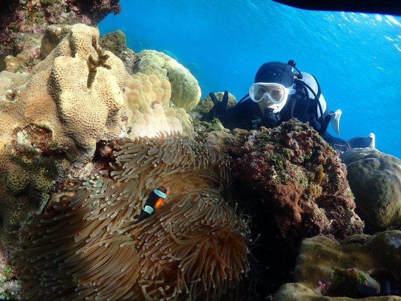 ◤年末盛り上がっておりますよぉ！！！◢