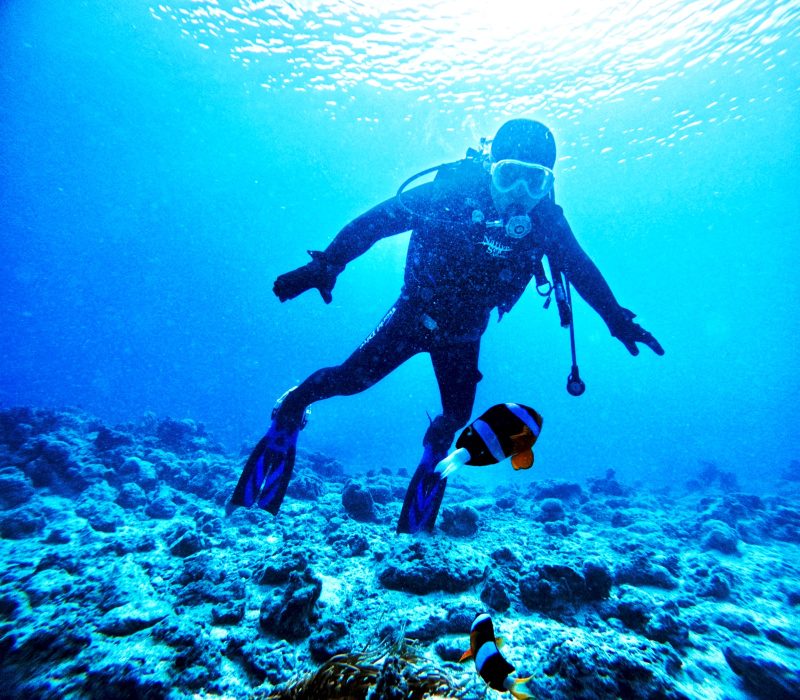 ◤奄美の海の神秘を体験！初心者でも安心の体験ダイビング◢