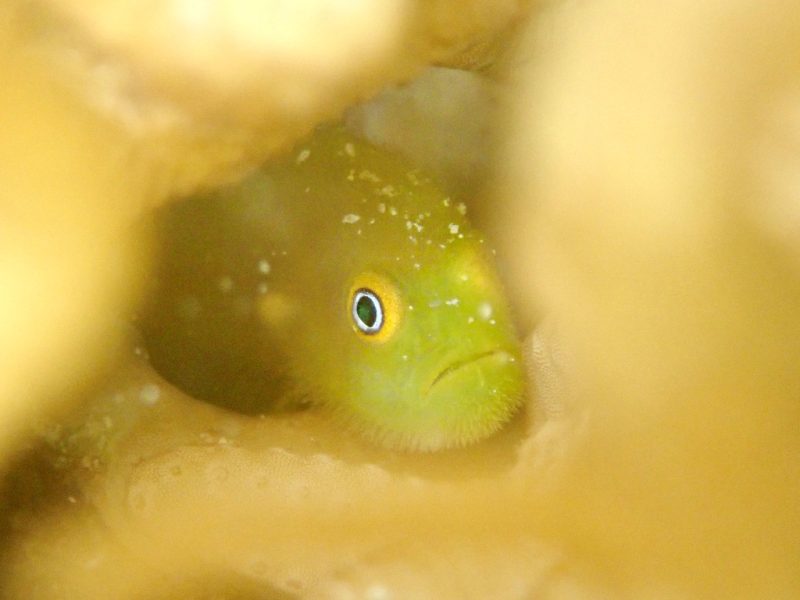 ◤今日はビーチポイントへ♪◢