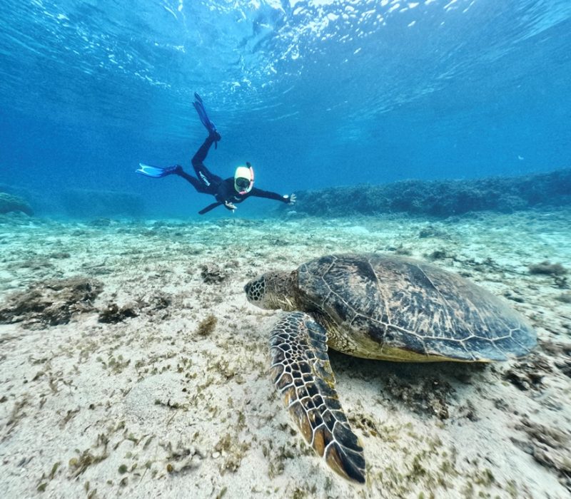 ◤穏やかな海況♫◢