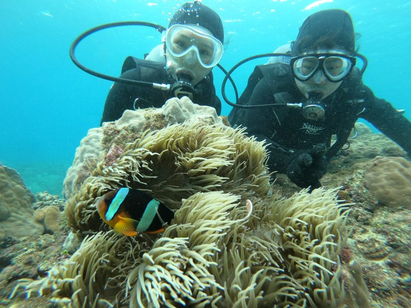◤水中世界はまるで映画の世界♪◢