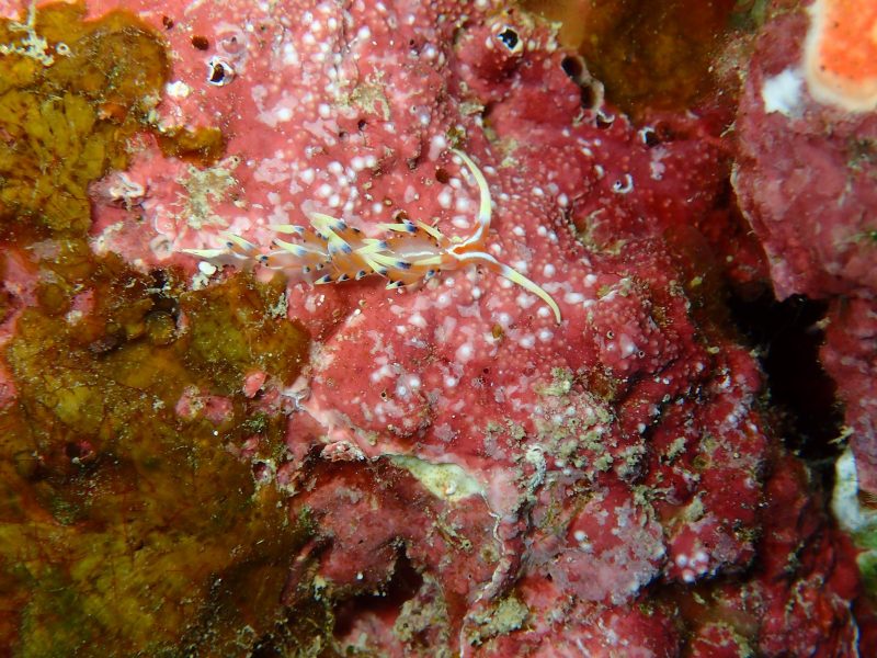 ◤いよいよ明日からスタート♪◢