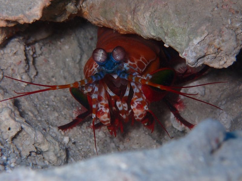 ◤ホエールウォッチングスタートしました❣❣◢