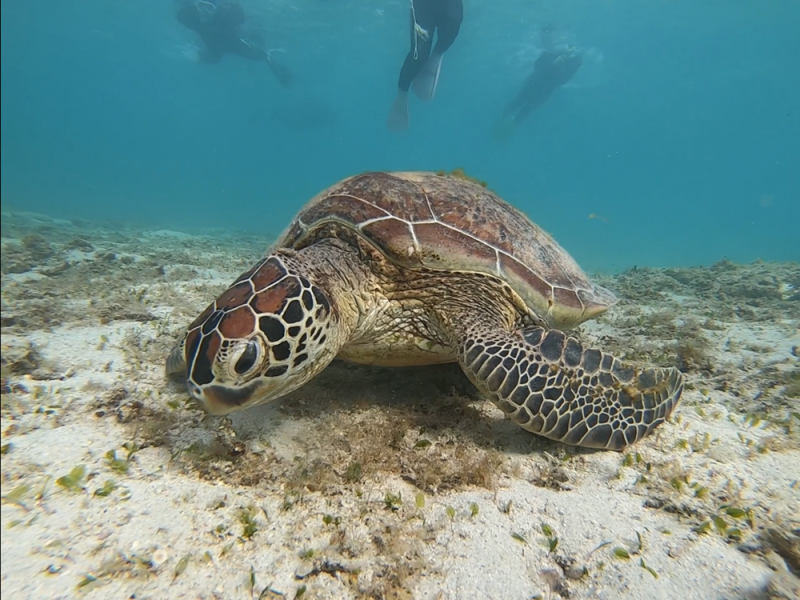 ◤もぐもぐTIME(´～｀)ﾓｸﾞﾓｸﾞ◢