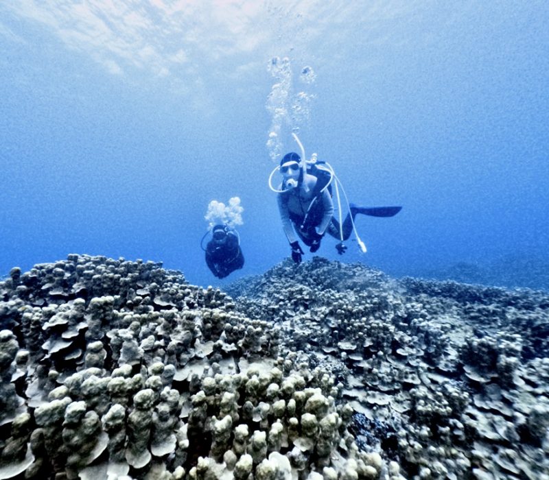 ◤湾内は穏やか！◢