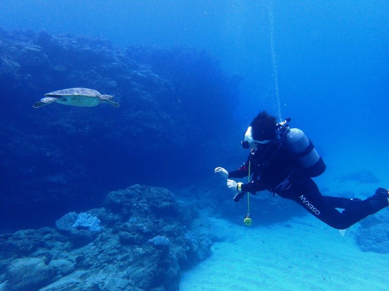 ◤今年一番の寒さだと思います！◢