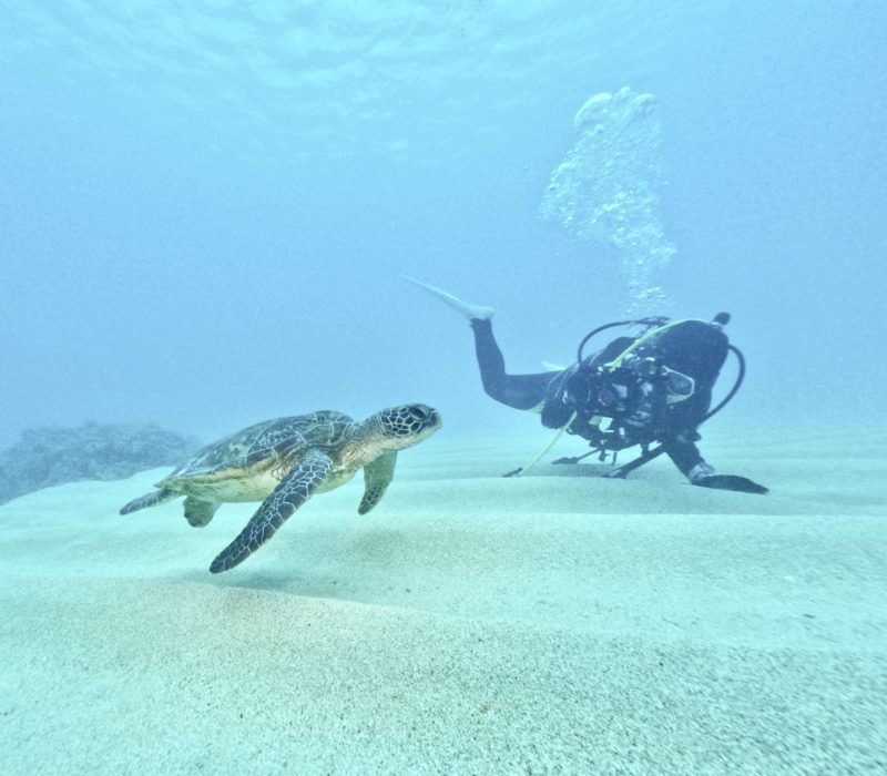 ◤天気が全く読めない奄美大島◢