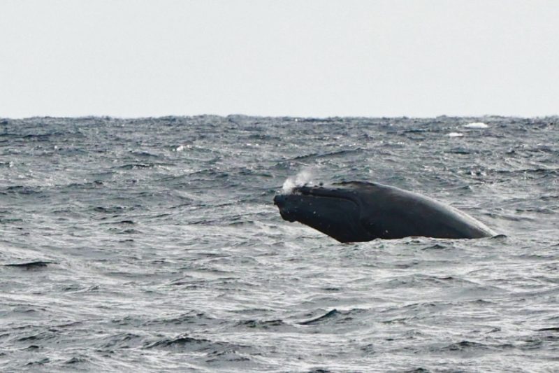 ◤3月もとっても大盛況です🎉◢