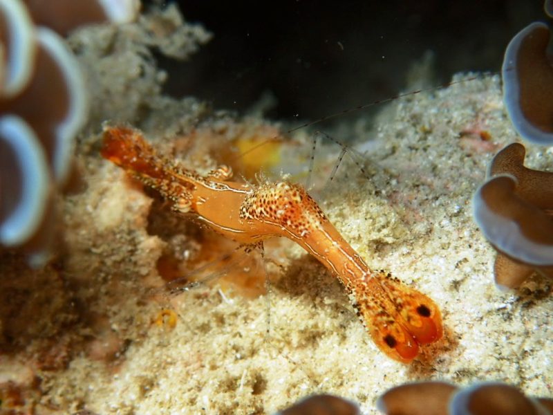 ◤カメラがぁ…◢