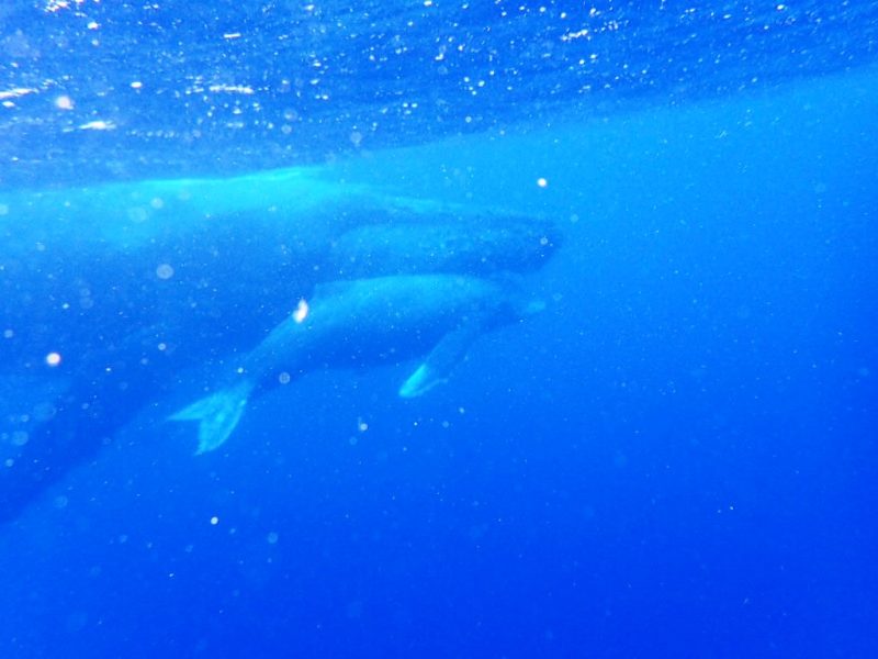 ◤優れない天候…。◢