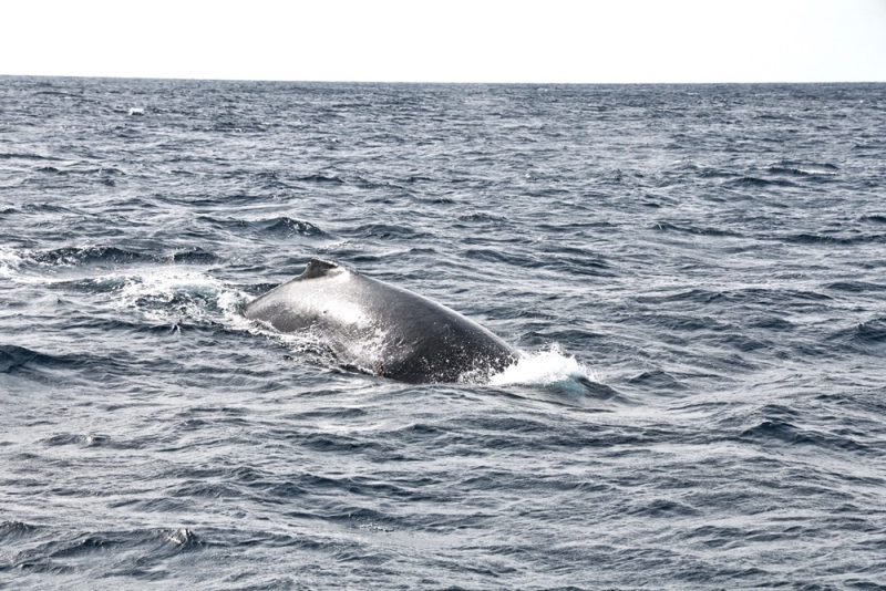 ◤若い世代からパワーを貰いました❢◢