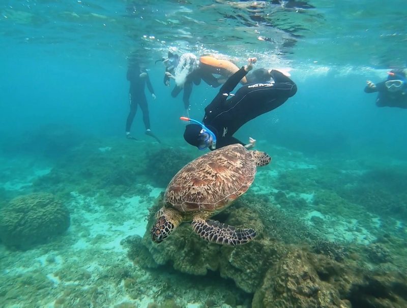 ◤予報はやっぱり当てにならない…◢