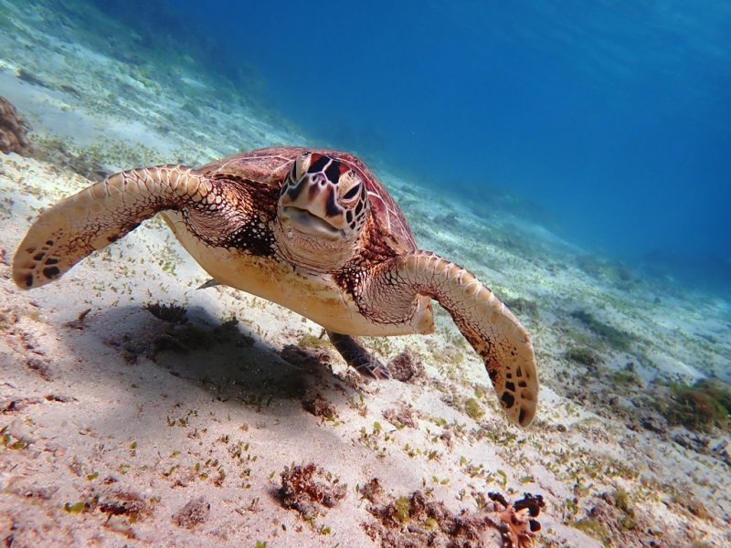 ◤春休み♪多くのお子様にご参加頂いております！◢