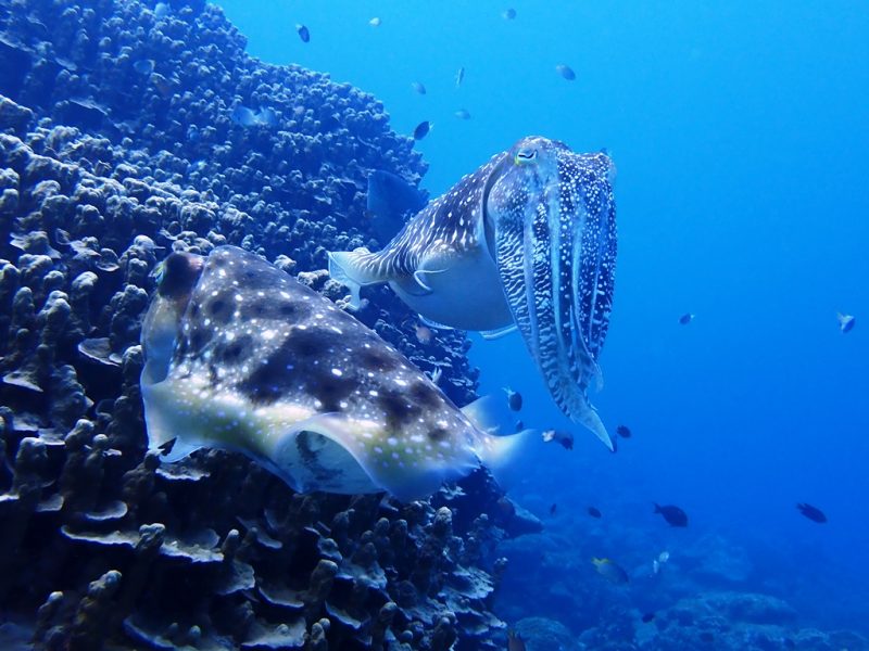 ◤至る所で「生命の営み」。◢