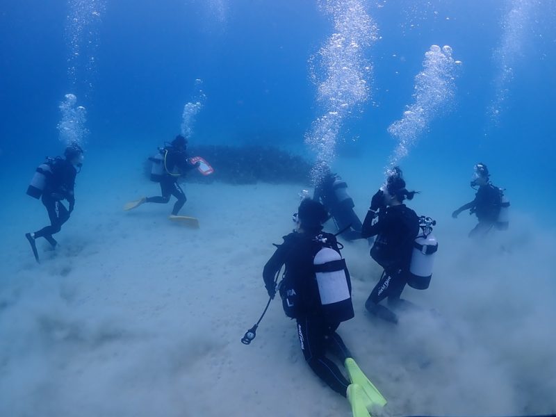◤一年ぶりの再会♪◢