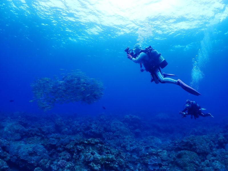 ◤WANTED…ミステリーサークル。◢