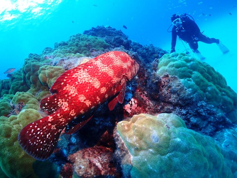 ◤ひたすら”ワイド”な感じです。◢