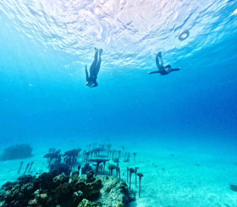 ◤気持ちのいいスタート♬◢