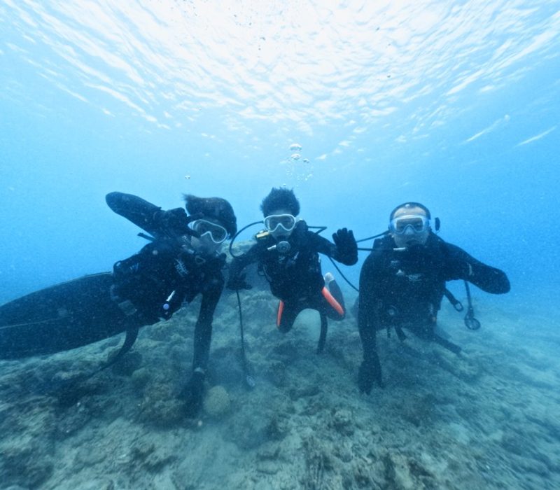 ◤春のはじまり、体験ダイビングへ♪◢
