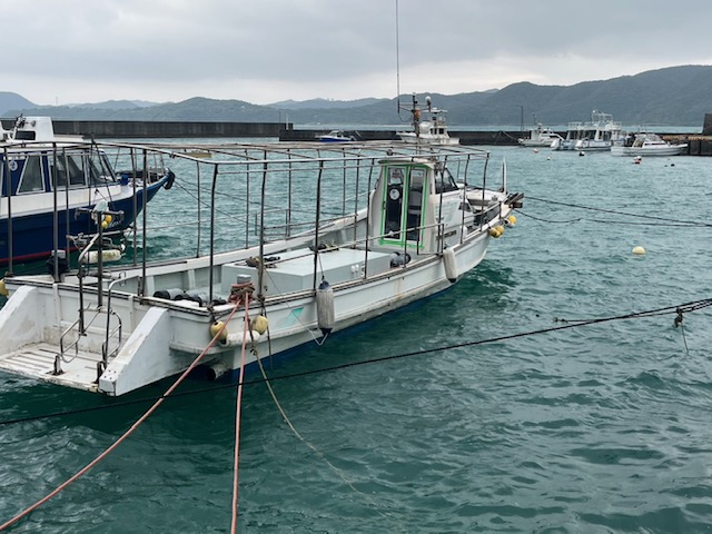 ◤台風６号（チャンミー）情報。◢