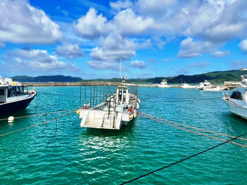 ◤台風18号（ソウデル）対策を行いました◢