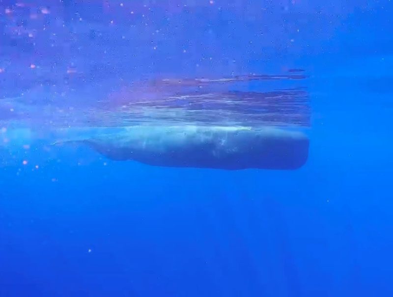 ◤リベンジ成功♪◢